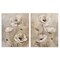 Stupell Industries Neutral Toned Flora 2pc Canvas Wall Art Set Design by Nina Blue